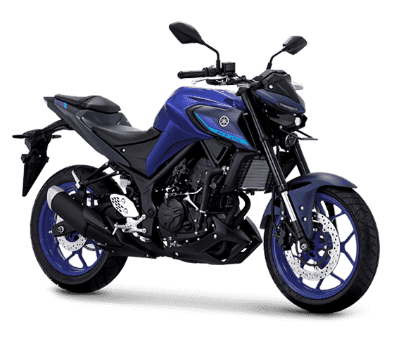 Motor MT 25